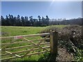 Field west of South Munstead Farm