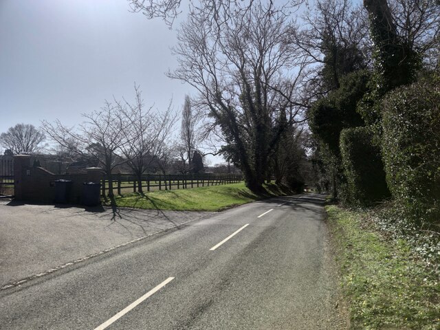 Hambledon Road near Hydestile Farm Cottage