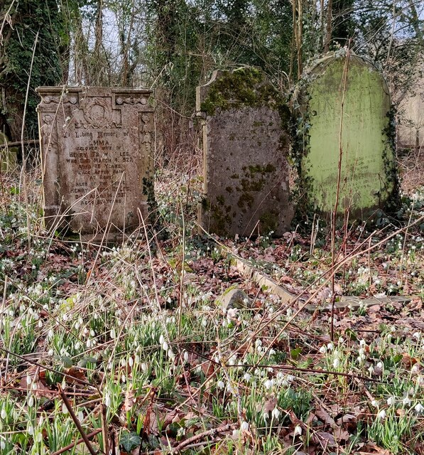 Old gravestones at Dowles