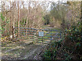 Gated track into Black Hill Wood