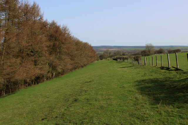 Narrow Pasture above the Wooded Valley of Waterfall Gill