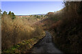 Access Lane from Bungdale Head Farm