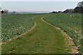 Grassy path on Dean Hill