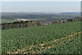 View above former RNAD Dean Hill