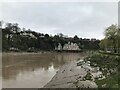 Downstream from the Wye bridge