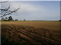 View from Church Boundary Knapton