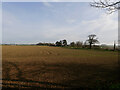 TG3034 : Northerly view from Knapton Churchyard Boundary by David Pashley