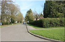 TL5156 : Cow Lane, Fulbourn by David Howard