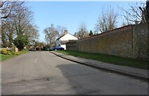 TL5156 : Cow Lane, Fulbourn by David Howard