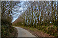 Challacombe : Country Lane