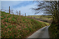 Challacombe : Country Lane