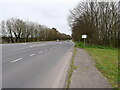 South on North Walsham Bypass