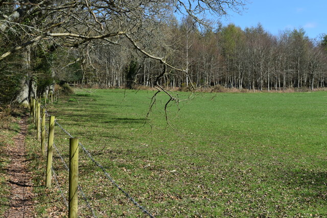 Field at Furzy Close