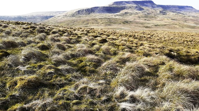 View over Aisgill Moor towards Wild Boar Fell