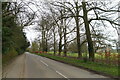 The leafy approach to Colston Bassett