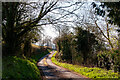 SO4528 : Country Lane, Herefordshire by Stuart Wilding