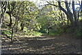 Disused railway line