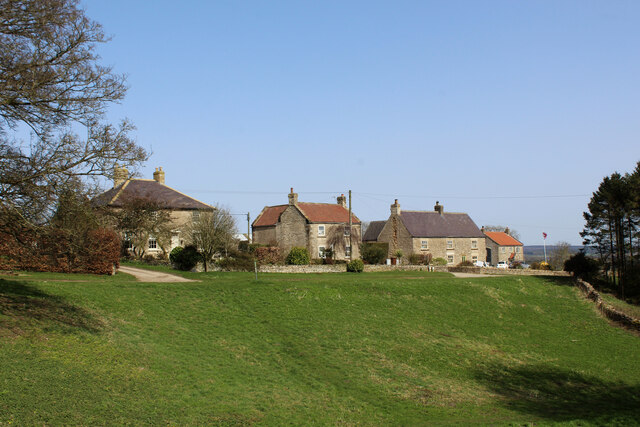 Houses in Cold Kirby