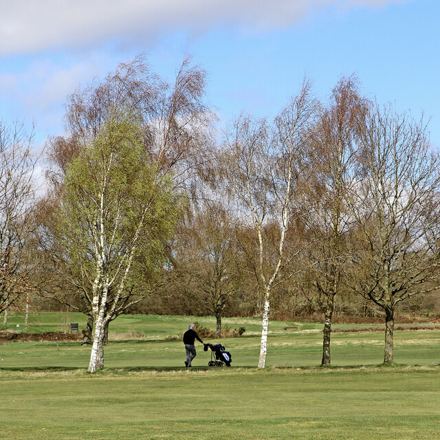 Trees on Penn Common golf course, Staffordshire