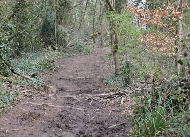 Bridleway © Anthony O'Neil cc-by-sa/2.0 :: Geograph Britain and Ireland