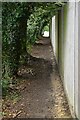 Footpath to Amsbury Rd