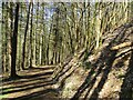 Track between Twechar and Barhill Wood