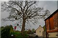 North Curry : Knapp Lane