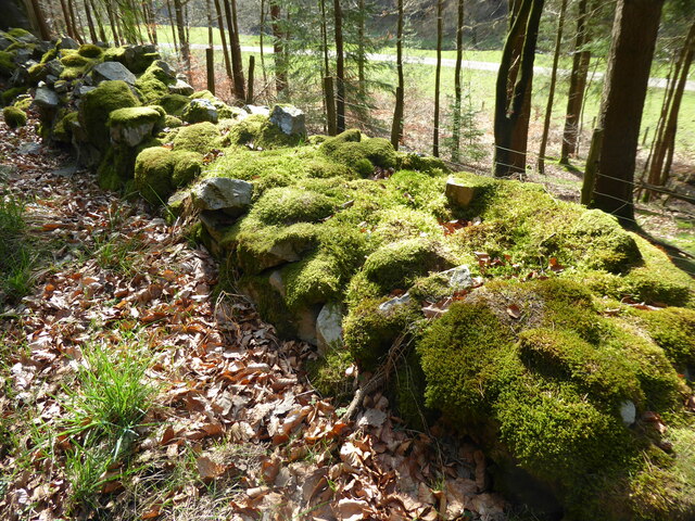 Old moss covered wall in the valley