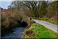 Challacombe : River Bray