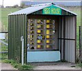 EGG HOUSE on Hooby Lane