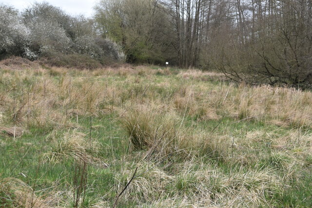 Footpath across marsh