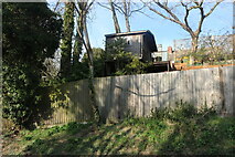TL3640 : Tree house on Barkway Road, Royston by David Howard