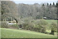 Rolling woodland and fields at Gills Hole