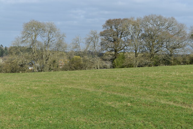 Grassy field west of Moor Farm