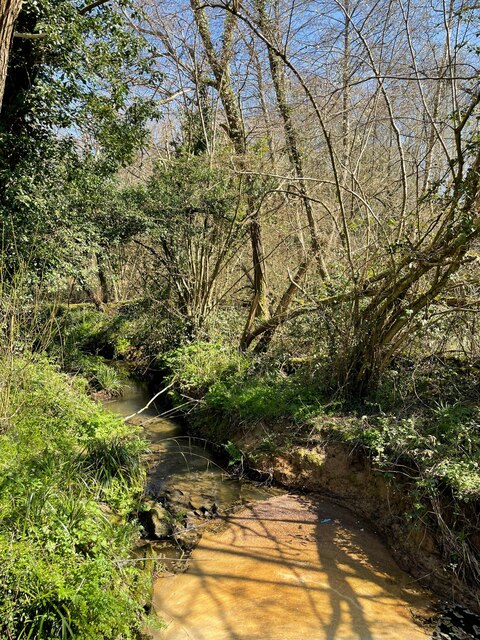 Stream through Pond Shaw Wood