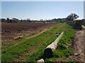 Looking towards Norchard Farm from the north