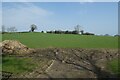 Farmland beside the Grewelthorpe road