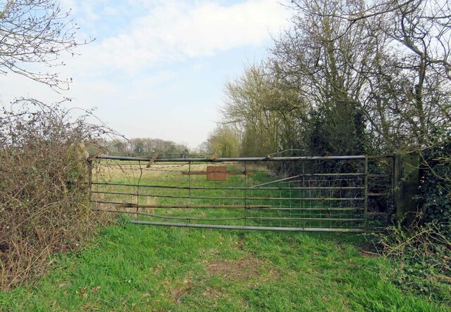 Entrance to a field on east side of Dunton Lane
