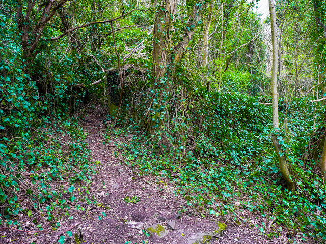 Path to whatever remains of Tod Bottom, Northowram