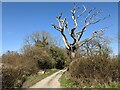 Lane to Rushbury