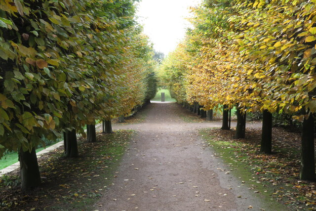 The path to Pegasus Wood