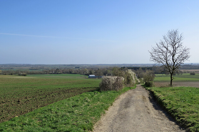 Down Wimpole Road to Great Eversden © John Sutton :: Geograph Britain ...