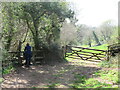 Stile on path into the woods