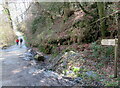 Path to Cotehele House in Cotehele Wood