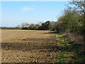 Fieldside path near Braham Wood