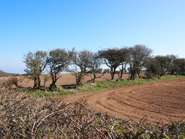 Field Boundaries Near Llanddona