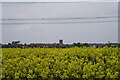 Fernwood Tower across a field of Oilseed Rape.