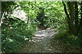 Byway ascending The North Downs