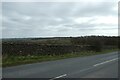 Wall along Greenhow Hill Road