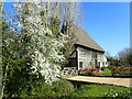 House and blossom on Hunton Road